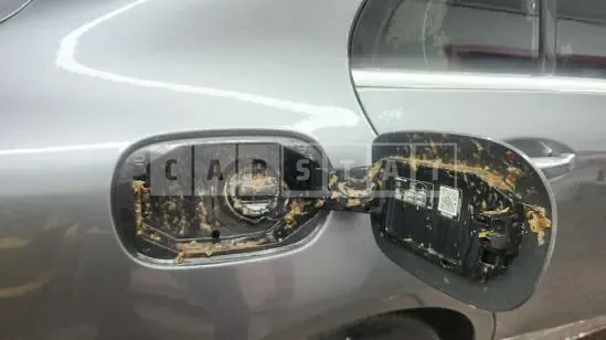 Photo 2 of 50: 2019 Mercedes-Benz C 200 — Korean insurance auction