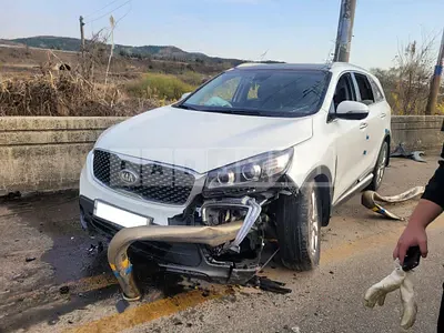 Photo 1 of 29: 2015 Kia Sorento /Sorrento, VIN KNAPK81BDFA091992 — Korean insurance auction