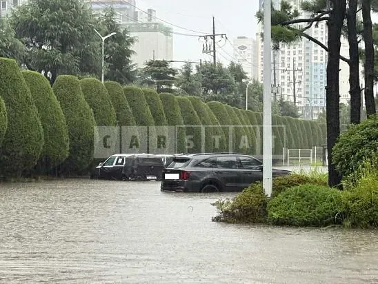 Photo 3 of 3: 2024 Kia Sorento — Korean insurance auction