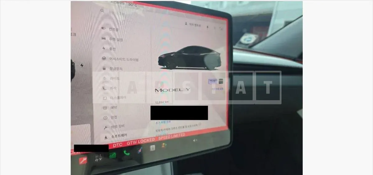 Photo 2 of 9: 2025 Tesla Model Y RWD — Korean insurance auction
