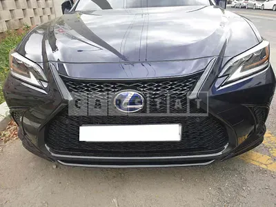 2019 lexus /es 300h