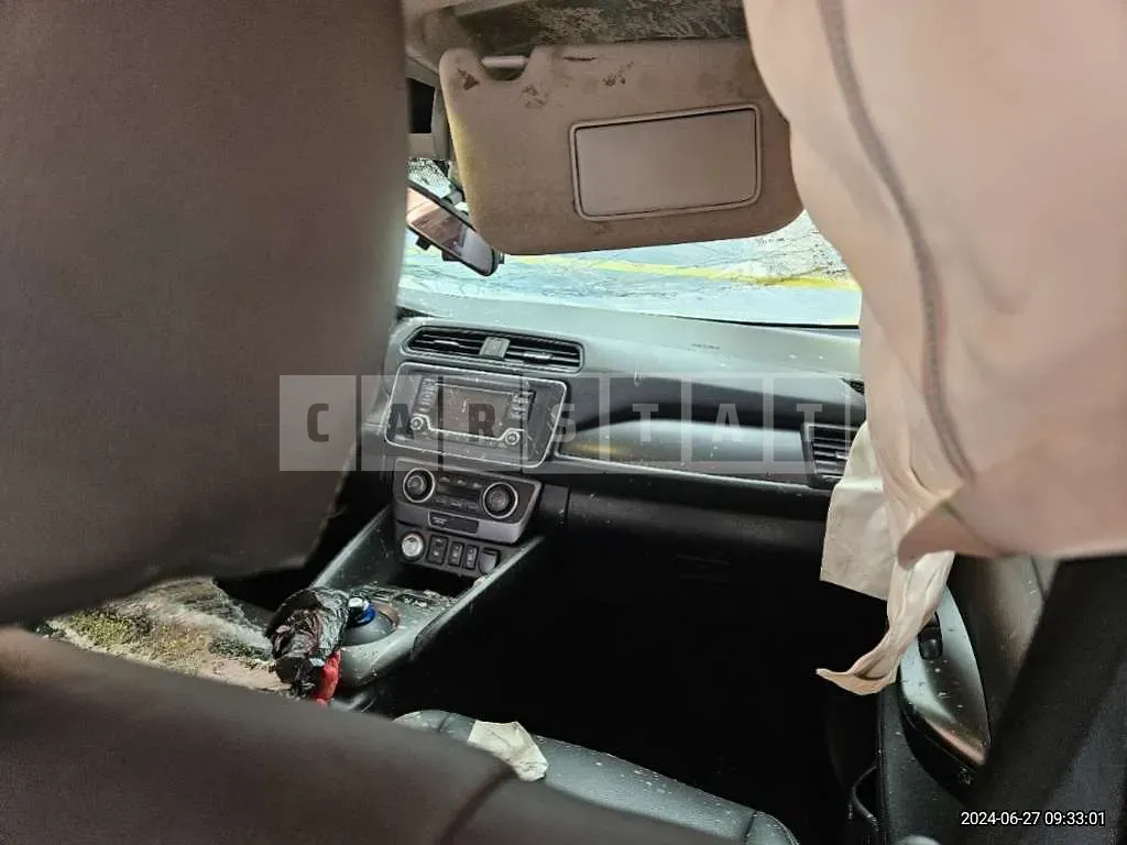 Photo 2 of 50: 2019 Nissan Leaf — Korean insurance auction