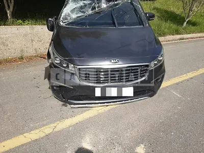 Photo 1 of 6: 2020 Kia Carnivals, VIN KNAMC81ABLS664335 — Korean insurance auction