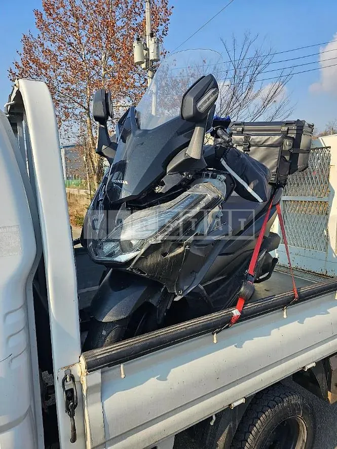 Photo 3 of 3: 2020 Honda (Two-Wheel) Forza 300 (NSS300A) — Korean insurance auction