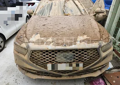 Photo 1 of 13: 2019 Genesis Acupuncture Nessis G90 — Korean insurance auction