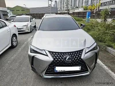 2024 Toyota Lexus UX250h 2WD