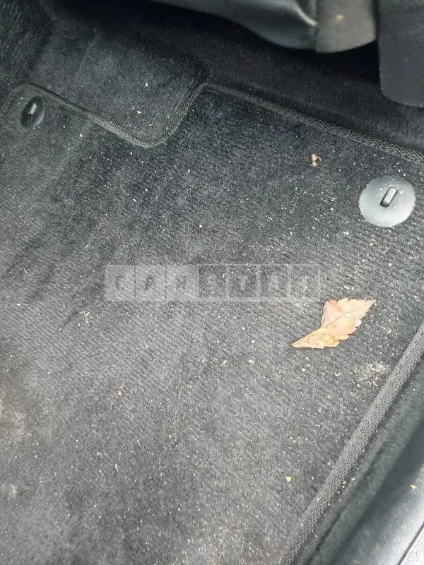 Photo 2 of 15: 2021 Kia K5 — Korean insurance auction