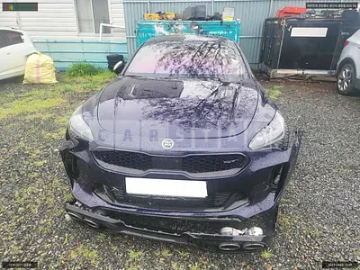 Photo 1 of 16: 2017 Kia Stinger, VIN KNAE751CDJS001317 — Korean insurance auction