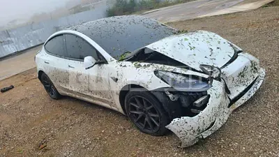 Photo 1 of 4: 2021 Tesla Model 3 Long Range — Korean insurance auction