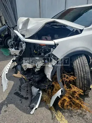 Photo 2 of 20: 2022 Kia Sorento, VIN KNARG81GBNA101511 — Korean insurance auction