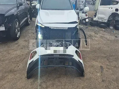 Photo 1 of 32: 2018 Hyundai Santa Fe TM Gasoline — Korean insurance auction
