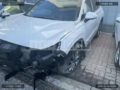Photo 1 of 96: 2019 Hyundai Santa Fe, VIN KMHS281BBLU226757 — Korean insurance auction