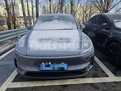 Photo 1 of 34: 2025 Tesla Model Y Long Range — Korean insurance auction