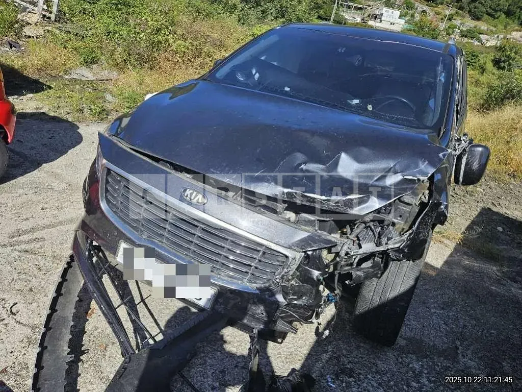 Photo 2 of 4: 2018 Kia Carnivals — Korean insurance auction