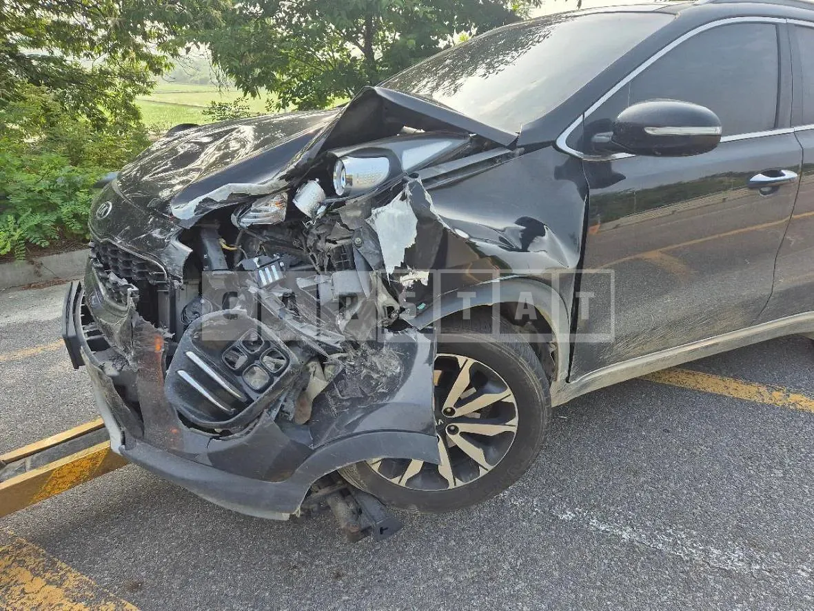 Photo 2 of 6: 2016 Kia Sportage — Korean insurance auction