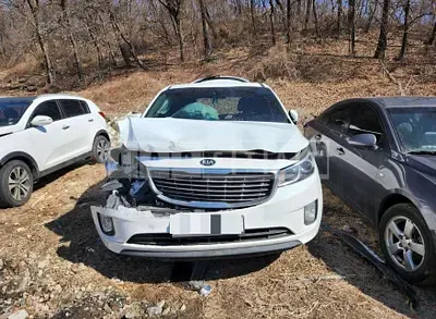 Photo 1 of 8: 2015 Kia Carnival Changrim Lowrise Slope Disabled Car — Korean insurance auction