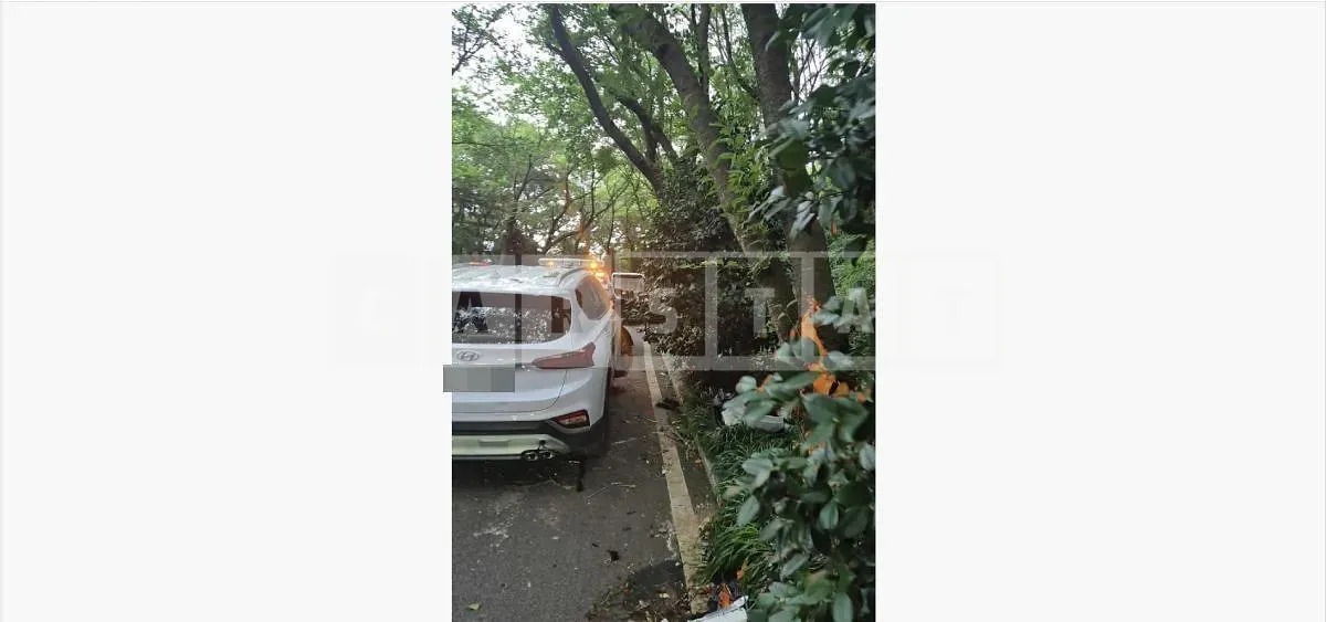 Photo 2 of 24: 2019 Hyundai Santa Fe 2.0 — Korean insurance auction