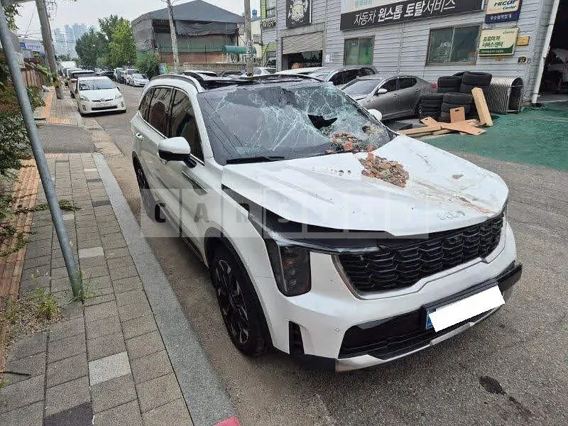Photo 2 of 48: 2025 Kia Sorento, VIN KNARM81FGTA383797 — Korean insurance auction