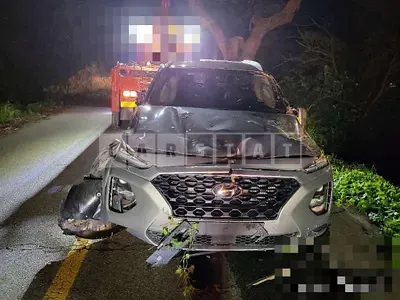 Photo 1 of 14: 2019 Hyundai Santa Fe TM — Korean insurance auction