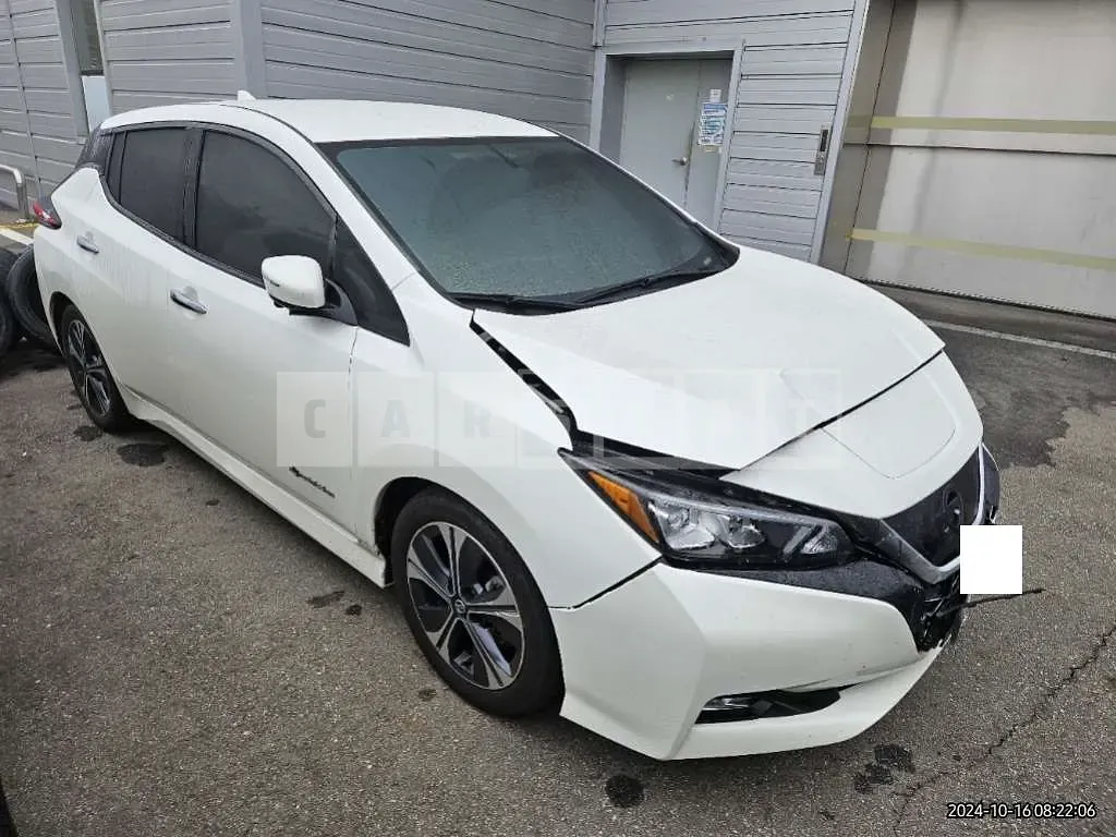 Photo 2 of 19: 2019 Nissan Leaf — Korean insurance auction