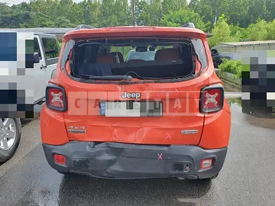 2016 Zip Renegade
