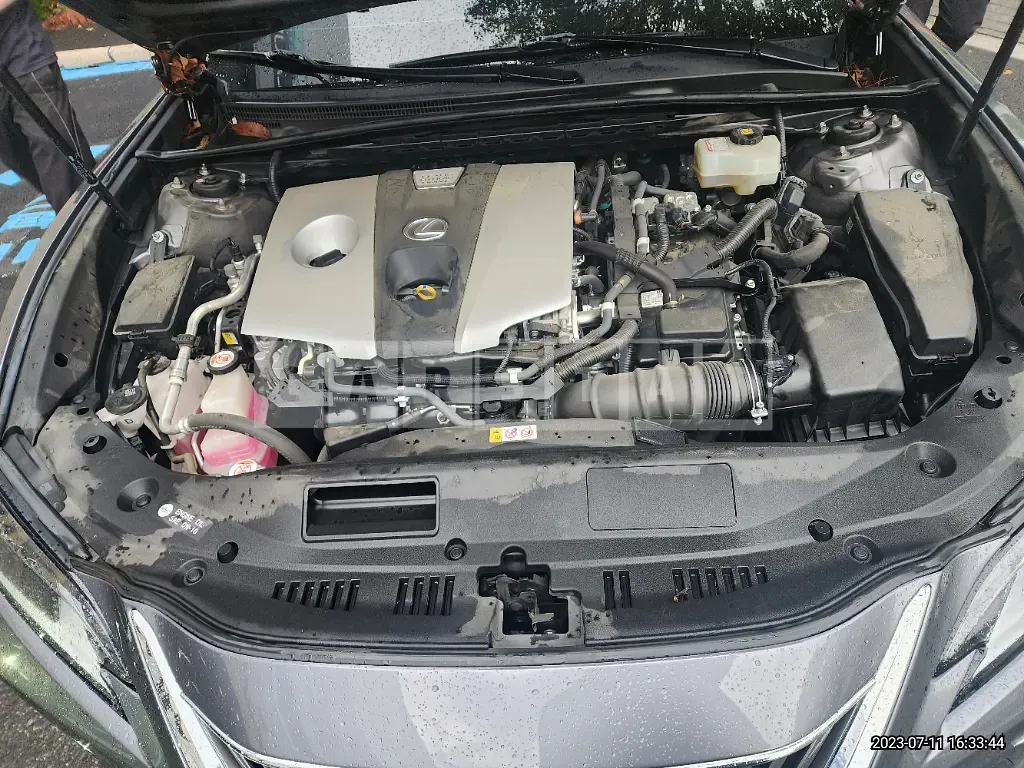 Photo 2 of 9: 2019 Lexus ES300h, VIN JTHB21B17K2066050 — Korean insurance auction