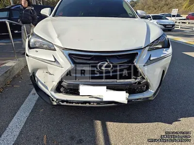Photo 1 of 20: 2017 Lexus NX300h — Korean insurance auction