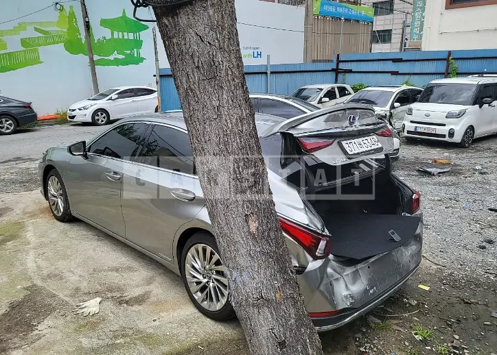 Photo 2 of 16: 2021 Lexus ES300h, VIN JTHBA1C18M2001650 — Korean insurance auction