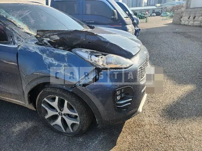 Photo 2 of 16: 2016 Kia Sportage — Korean insurance auction