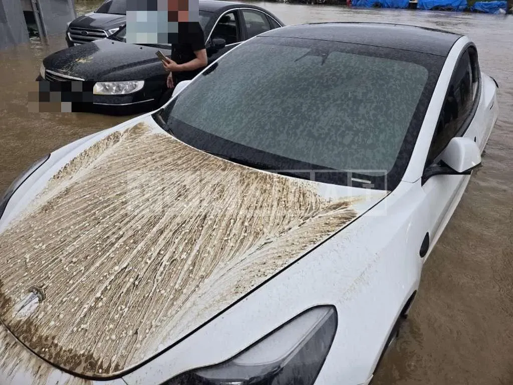 Photo 2 of 6: 2022 Tesla Model 3 Long Range — Korean insurance auction
