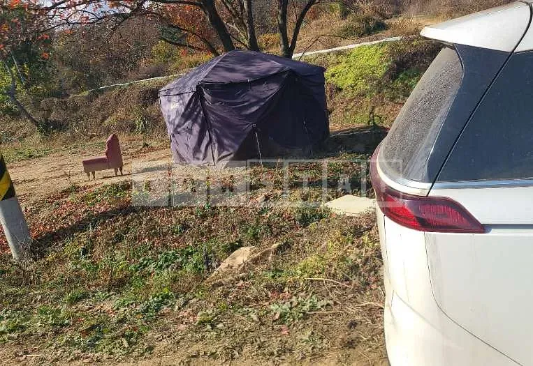 Photo 2 of 29: 2020 Kia Carnivals — Korean insurance auction