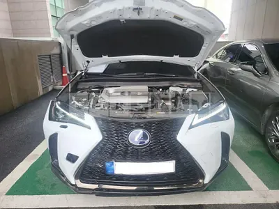 Photo 1 of 31: 2022 Lexus Ux 250h, VIN JTHR6JBH8N2121416 — Korean insurance auction