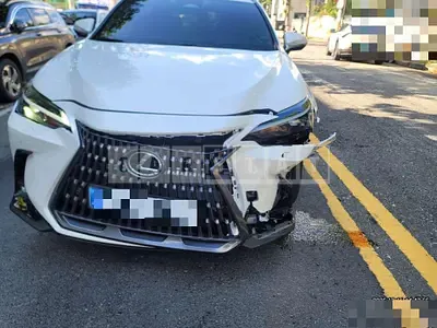 2025 Lexus NX450h+