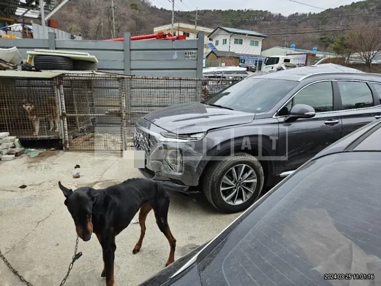 Photo 2 of 17: 2020 Hyundai Santa Fe TM 2.0 (Gasoline), VIN KMHS281ABLU296695 — Korean insurance auction