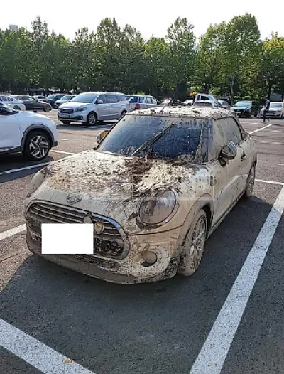 2019 BMW MINI Cooper Convertible