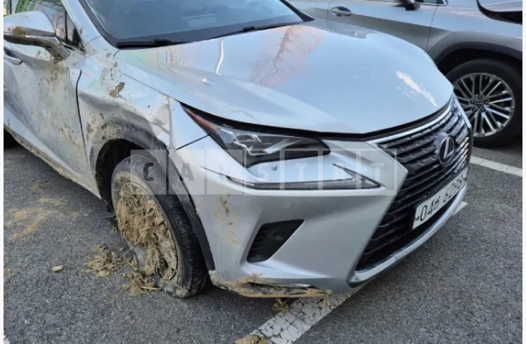 Photo 2 of 24: 2018 Lexus NX300h — Korean insurance auction
