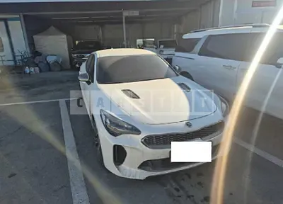 Photo 1 of 13: 2019 Kia Stinger — Korean insurance auction