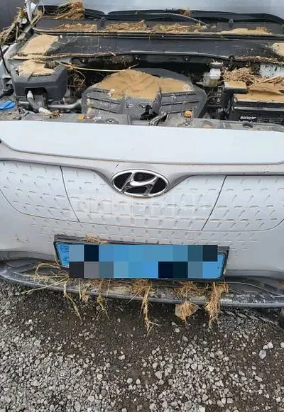 Photo 1 of 4: 2020 Hyundai Simkona — Korean insurance auction