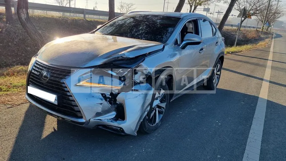 Photo 2 of 30: 2019 Lexus NX300h, VIN JTJDJRDZ5L2128686 — Korean insurance auction
