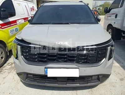 Photo 1 of 21: 2025 Kia Carnival — Korean insurance auction
