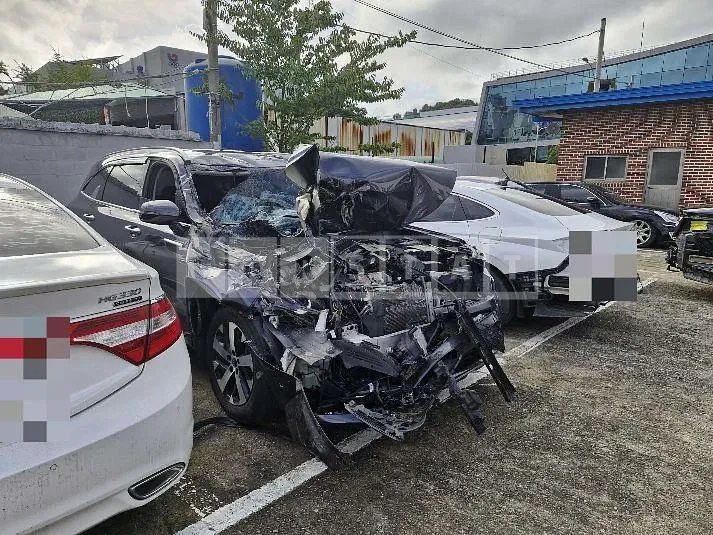 Photo 2 of 12: 2020 Kia Sorento 2.2 — Korean insurance auction