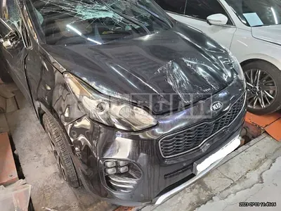 Photo 1 of 19: 2016 Kia Sportage, VIN KNAPR813BGK005723 — Korean insurance auction