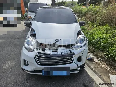 Photo 1 of 14: 2021 Mercedes-Benz Smart Evz — Korean insurance auction