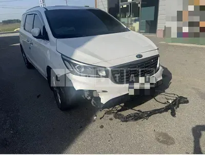 Photo 1 of 21: 2020 Kia Carnivals — Korean insurance auction