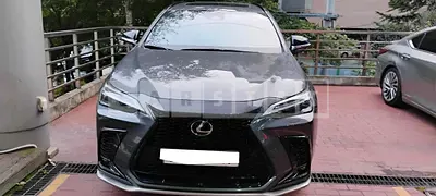 2022 Lexus NX450h+