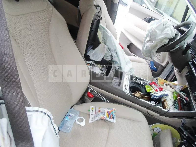 Photo 2 of 21: 2024 Kia Carnival 1.6 Hybrid — Korean insurance auction