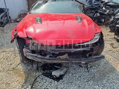 2021 Stinger stinger