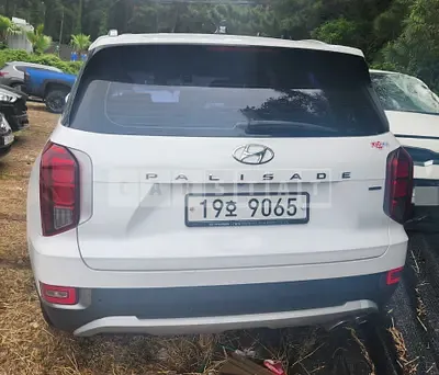 Photo 1 of 22: 2019 Hyundai Palisade 2.2 (8-Seater, 4WD) — Korean insurance auction