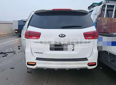 Photo 1 of 23: 2019 Kia Carnivals — Korean insurance auction