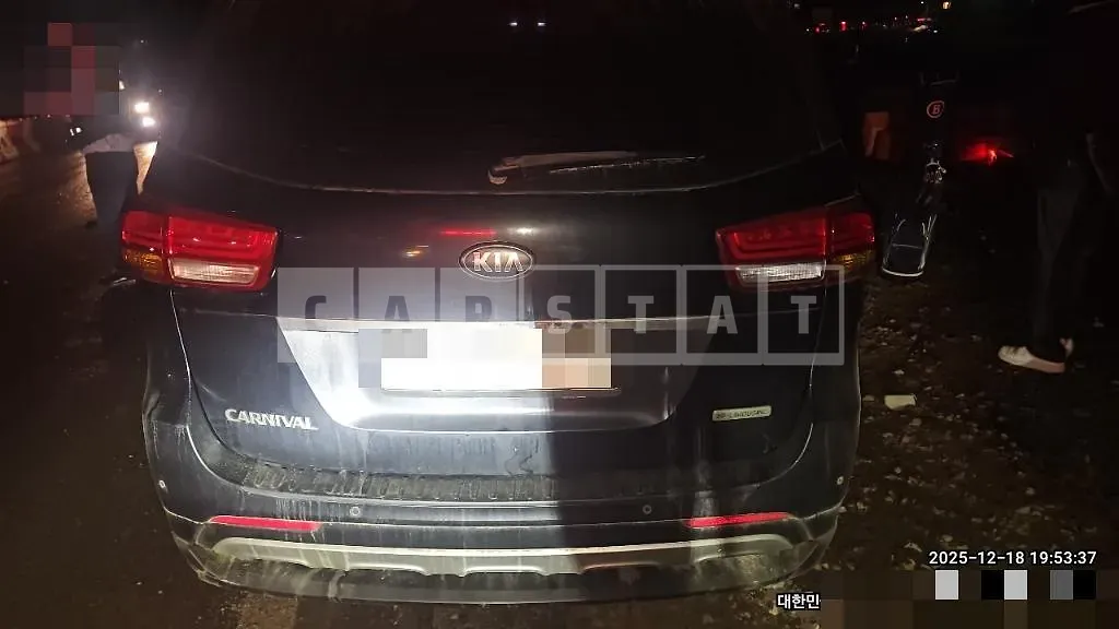 Photo 2 of 24: 2015 Kia Carnival High Limousine — Korean insurance auction